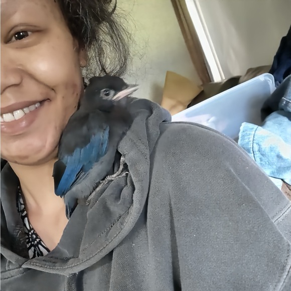 Meet your Posher, Eboni - Picture 3 of 3